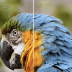 VikPea : Le générateur de vidéo IA qui simplifie la création