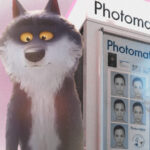 Intermarché vs IA : Le loup fait marche arrière, et c’est plus profond qu’un bad buzz